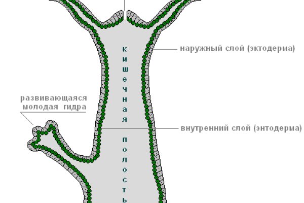 Не работает сайт blacksprut online blacksprut top